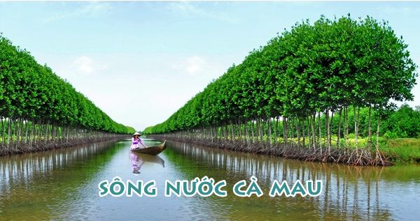 Ảnh minh họa (Nguồn internet)