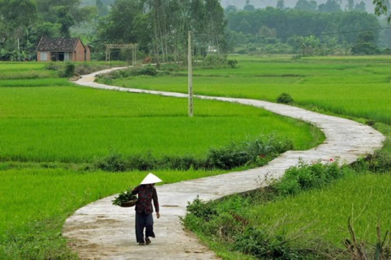 Con đường làng quanh co yên ả.