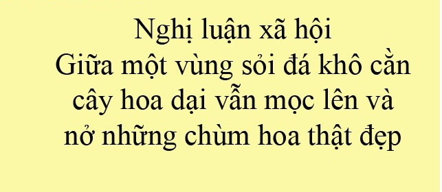 Ảnh minh họa (Nguồn internet)