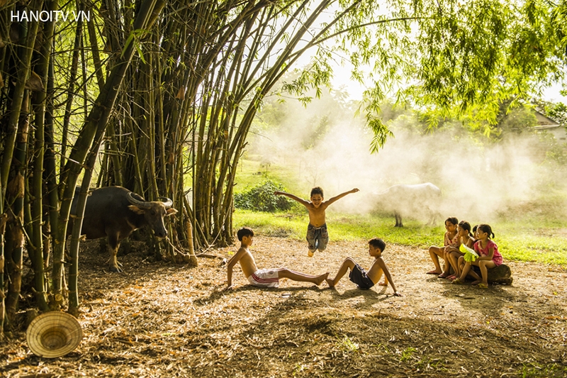 Lũy tre ven đê vẫn đu mình trong gió, xanh biếc một màu xanh quê hương.