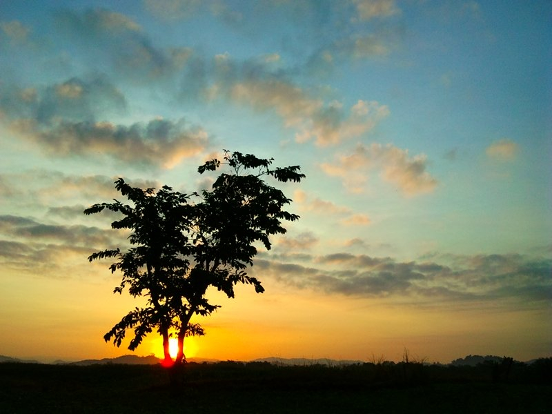 Cảnh bình minh chào ngày mới.